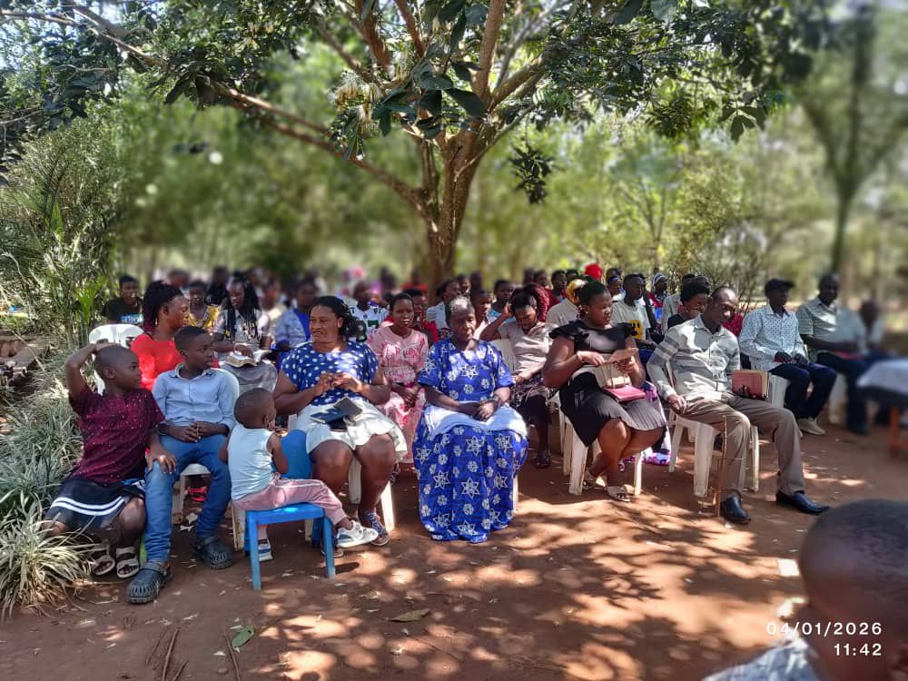 Church congregation under trees